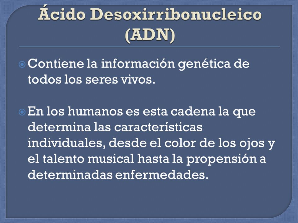 Ácido Desoxirribonucleico (ADN)