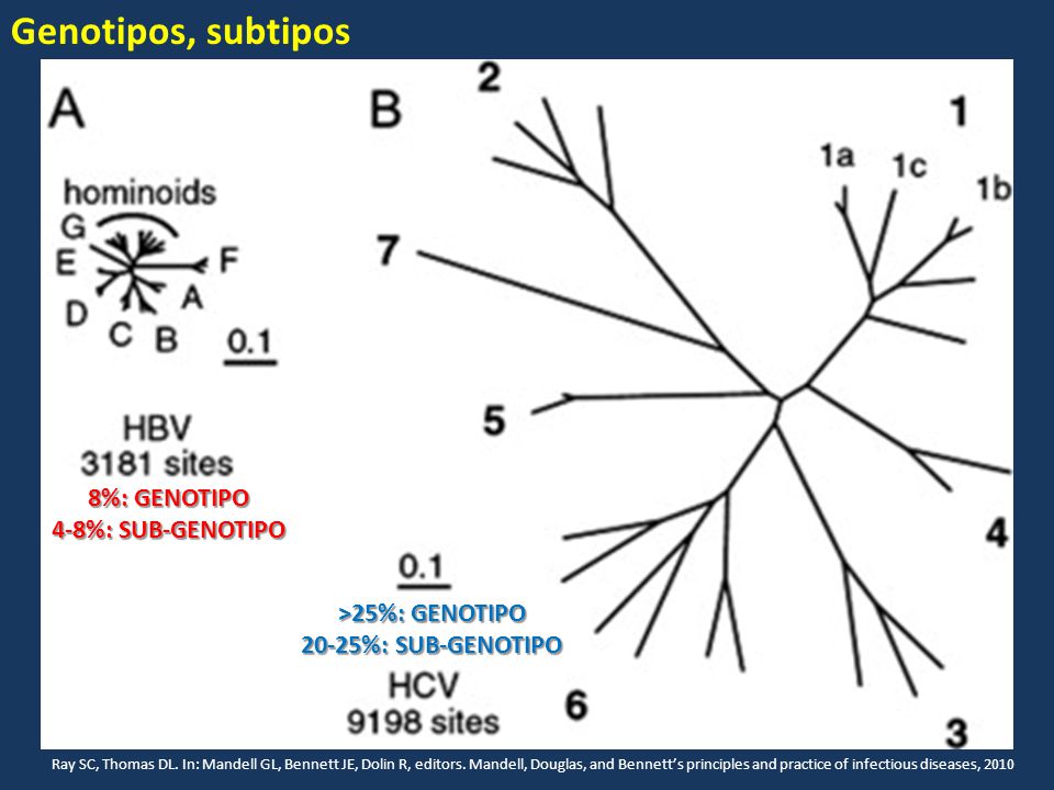 Genotipos, subtipos 8%: GENOTIPO 4-8%: SUB-GENOTIPO >25%: GENOTIPO