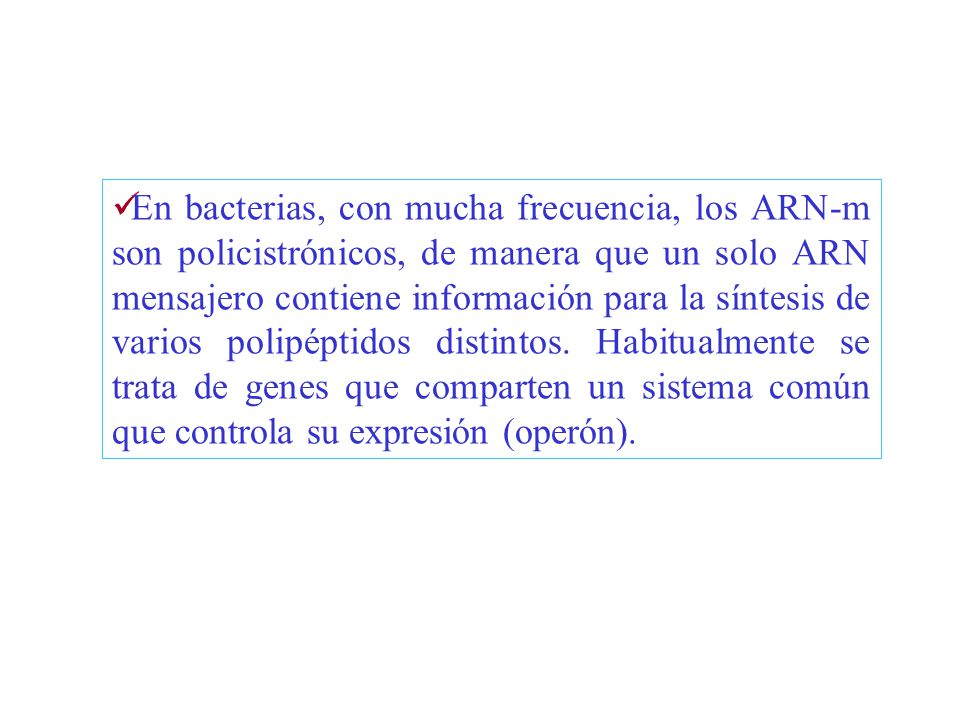 En bacterias, con mucha frecuencia, los ARN-m son policistrónicos, de manera que un solo ARN mensajero contiene información para la síntesis de varios polipéptidos distintos.