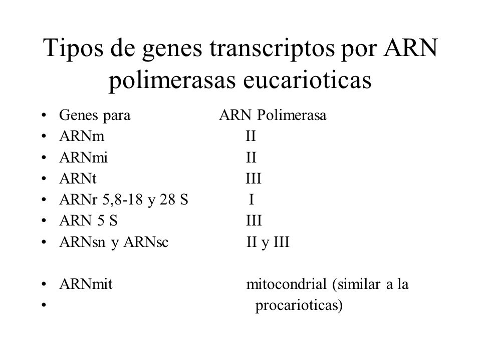 Tipos de genes transcriptos por ARN polimerasas eucarioticas