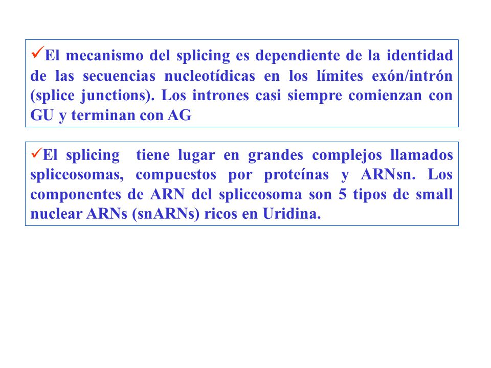 El mecanismo del splicing es dependiente de la identidad de las secuencias nucleotídicas en los límites exón/intrón (splice junctions). Los intrones casi siempre comienzan con GU y terminan con AG
