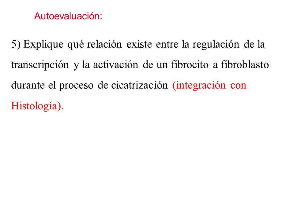 5) Explique qué relación existe entre la regulación de la