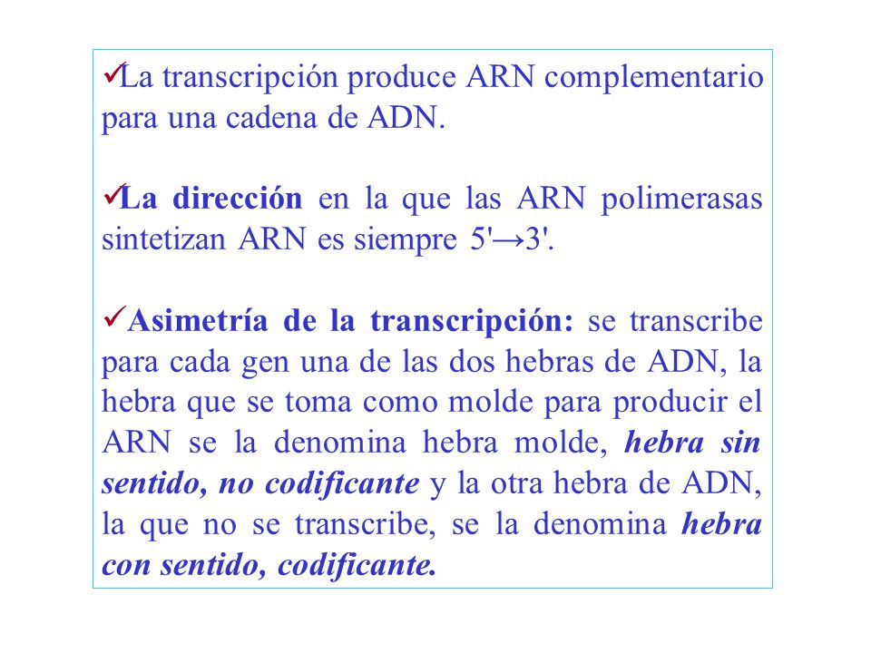 La transcripción produce ARN complementario para una cadena de ADN.