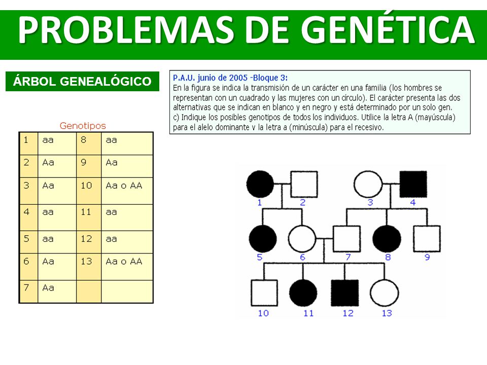 PROBLEMAS DE GENÉTICA ÁRBOL GENEALÓGICO