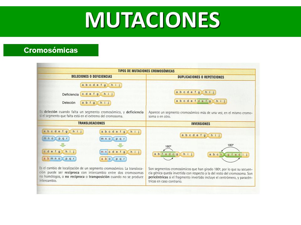 MUTACIONES Cromosómicas