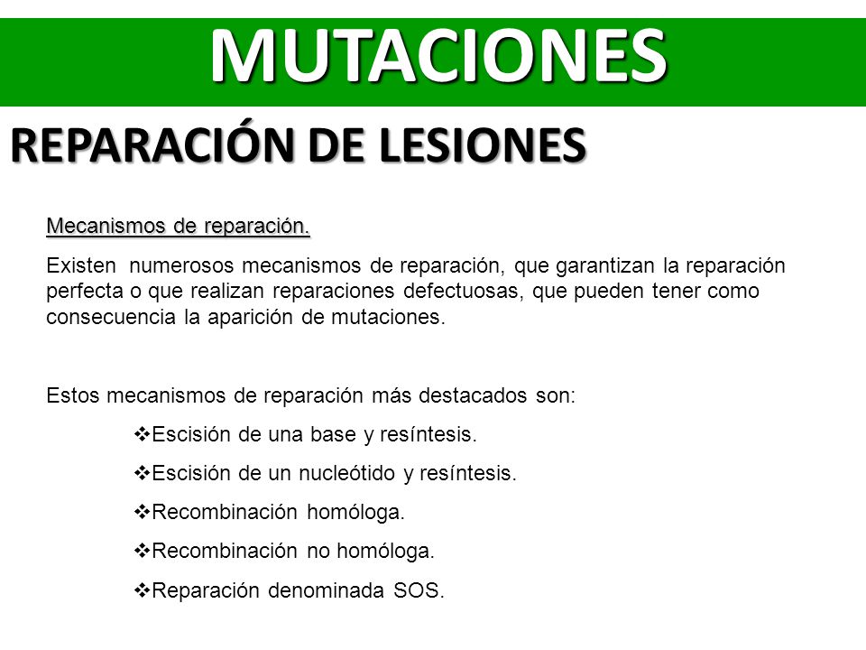 MUTACIONES REPARACIÓN DE LESIONES Mecanismos de reparación.