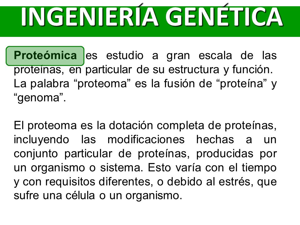 INGENIERÍA GENÉTICA Proteómica es estudio a gran escala de las proteínas, en particular de su estructura y función.
