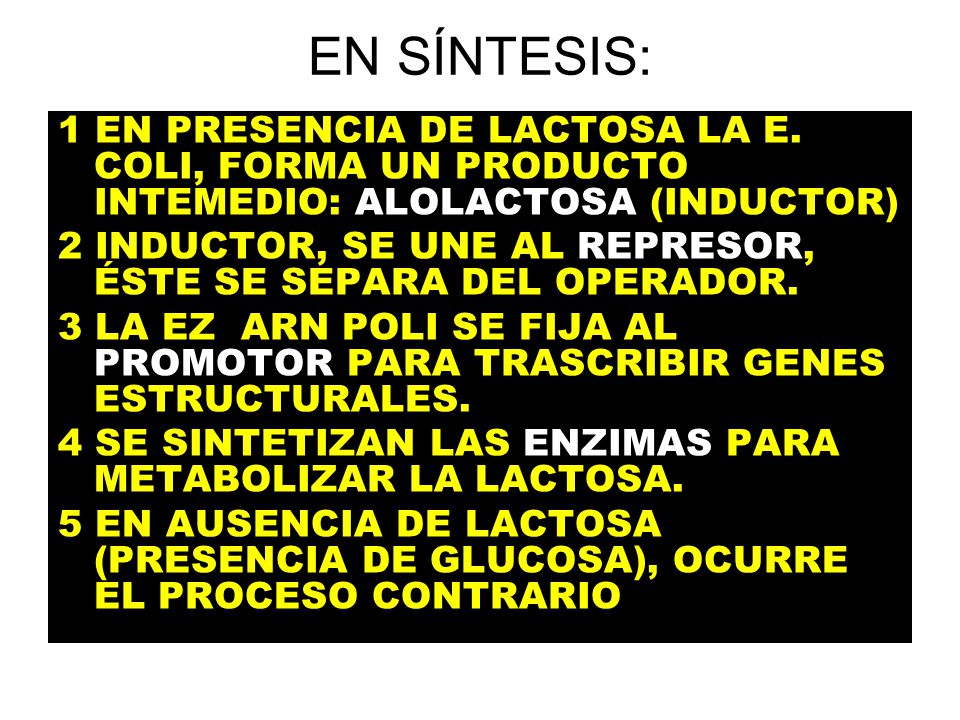 EN SÍNTESIS: 1 EN PRESENCIA DE LACTOSA LA E. COLI, FORMA UN PRODUCTO INTEMEDIO: ALOLACTOSA (INDUCTOR)