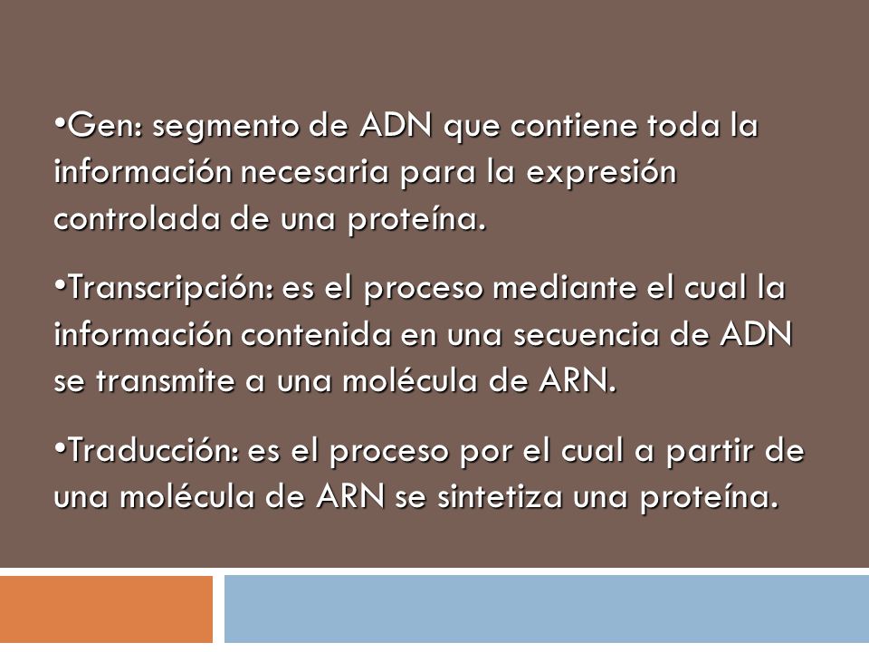 Gen: segmento de ADN que contiene toda la información necesaria para la expresión controlada de una proteína.