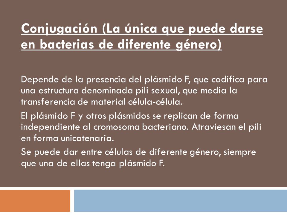 Conjugación (La única que puede darse en bacterias de diferente género)