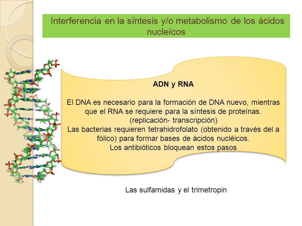 Interferencia en la síntesis y/o metabolismo de los ácidos nucleícos