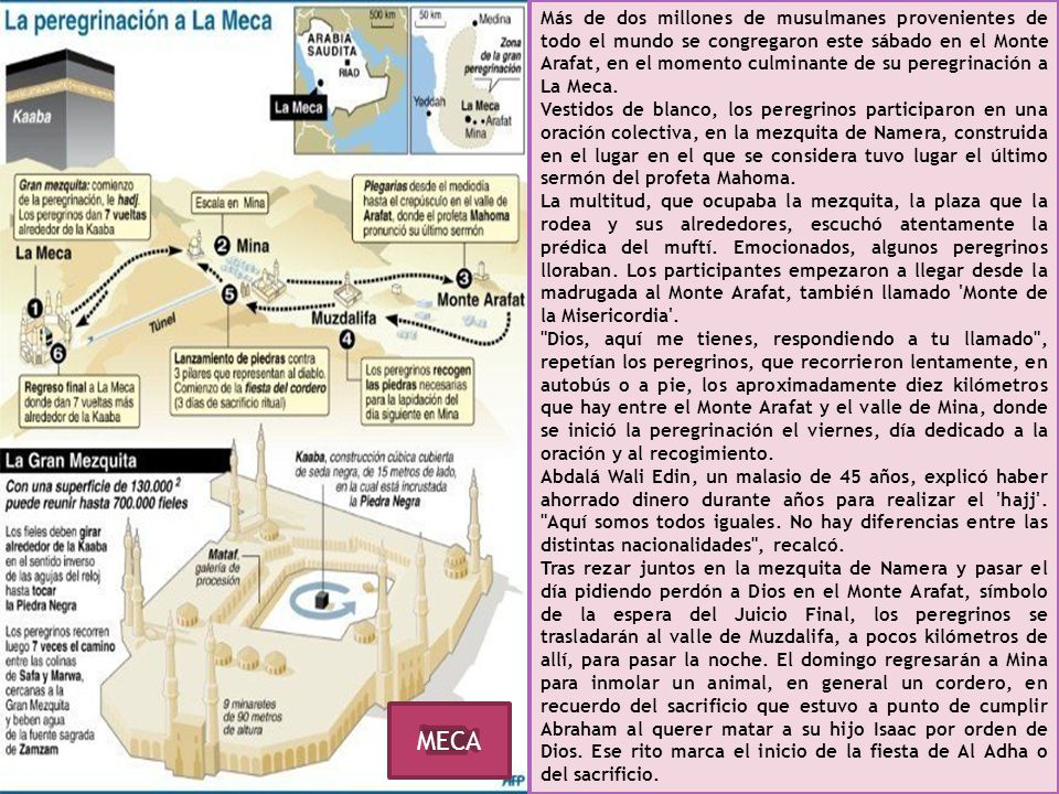 Más de dos millones de musulmanes provenientes de todo el mundo se congregaron este sábado en el Monte Arafat, en el momento culminante de su peregrinación a La Meca.