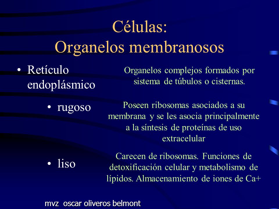 Células: Organelos membranosos