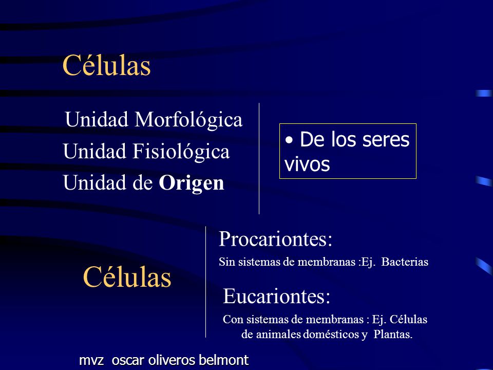 Células Células Unidad Morfológica Unidad Fisiológica Unidad de Origen