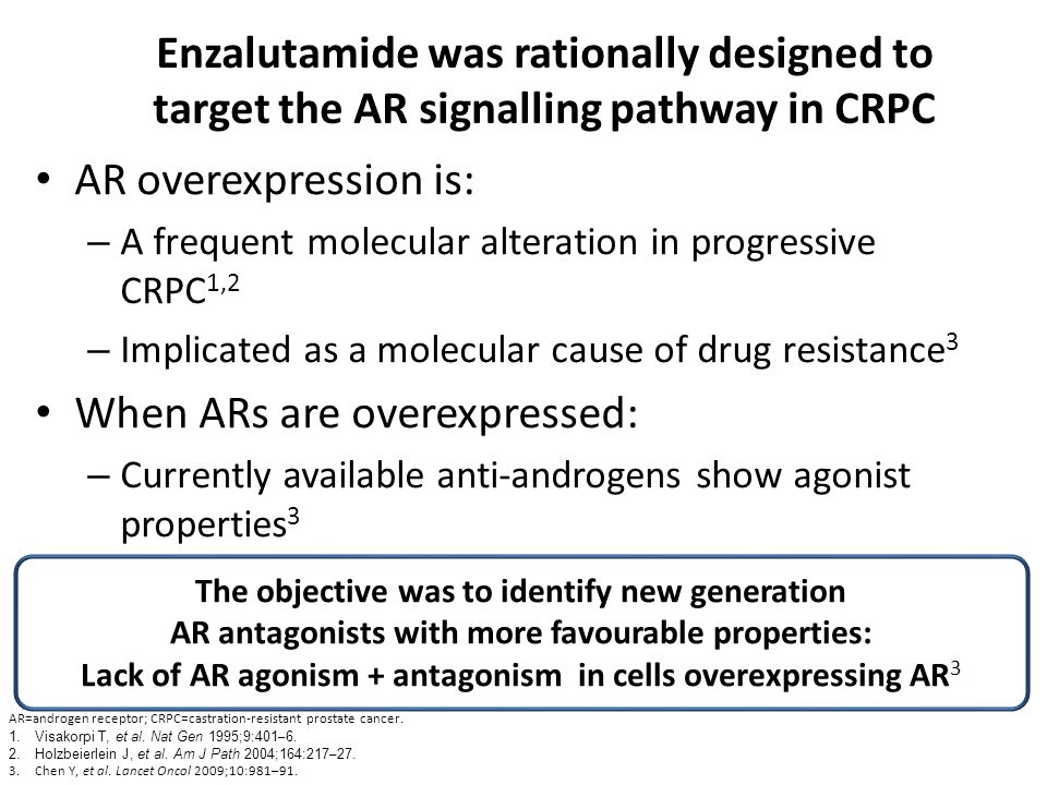 Lack of AR agonism + antagonism in cells overexpressing AR3