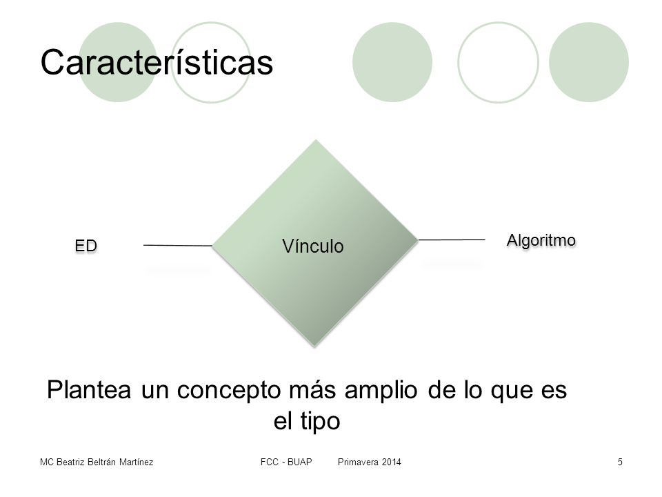 Plantea un concepto más amplio de lo que es el tipo