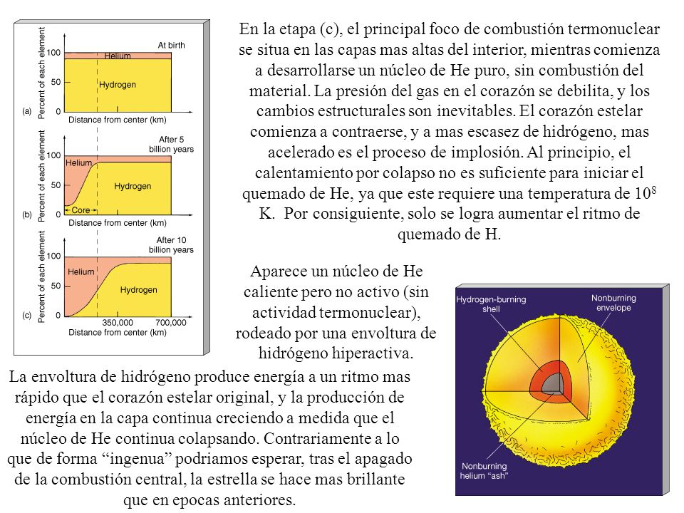 En la etapa (c), el principal foco de combustión termonuclear se situa en las capas mas altas del interior, mientras comienza a desarrollarse un núcleo de He puro, sin combustión del material. La presión del gas en el corazón se debilita, y los cambios estructurales son inevitables. El corazón estelar comienza a contraerse, y a mas escasez de hidrógeno, mas acelerado es el proceso de implosión. Al principio, el calentamiento por colapso no es suficiente para iniciar el quemado de He, ya que este requiere una temperatura de 108 K. Por consiguiente, solo se logra aumentar el ritmo de quemado de H.