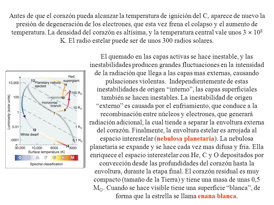 Antes de que el corazón pueda alcanzar la temperatura de ignición del C, aparece de nuevo la presión de degeneración de los electrones, que esta vez frena el colapso y el aumento de temperatura. La densidad del corazón es altísima, y la temperatura central vale unos 3  108 K. El radio estelar puede ser de unos 300 radios solares.