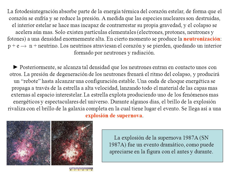 La fotodesintegración absorbe parte de la energía térmica del corazón estelar, de forma que el corazón se enfría y se reduce la presión. A medida que las especies nucleares son destruidas, el interior estelar se hace mas incapaz de contrarrestar su propia gravedad, y el colapso se acelera aún mas. Solo existen partículas elementales (electrones, protones, neutrones y fotones) a una densidad enormemente alta. En cierto momento se produce la neutronización: