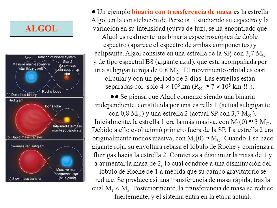 ● Un ejemplo binaria con transferencia de masa es la estrella Algol en la constelación de Perseus. Estudiando su espectro y la variación en su intensidad (curva de luz), se ha encontrado que Algol es realmente una binaria espectroscópica de doble espectro (aparece el espectro de ambas componentes) y eclipsante. Algol consiste en una estrella de la SP, con 3,7 Mʘ y de tipo espectral B8 (gigante azul), que esta acompañada por una subgigante roja de 0,8 Mʘ . El movimiento orbital es casi circular y con un periodo de 3 dias. Las estrellas están separadas por solo 4  106 km (Rʘ  7  105 km !!!).