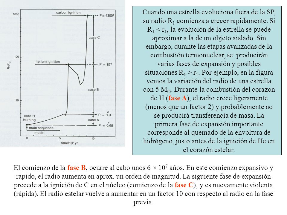 Cuando una estrella evoluciona fuera de la SP, su radio R1 comienza a crecer rapidamente. Si R1 < r1, la evolución de la estrella se puede aproximar a la de un objeto aislado. Sin embargo, durante las etapas avanzadas de la combustión termonuclear, se producirán varias fases de expansión y posibles situaciones R1 > r1. Por ejemplo, en la figura vemos la variación del radio de una estrella con 5 Mʘ. Durante la combustión del corazon de H (fase A), el radio crece ligeramente (menos que un factor 2) y probablemente no se producirá transferencia de masa. La primera fase de expansión importante corresponde al quemado de la envoltura de hidrógeno, justo antes de la ignición de He en el corazón estelar.