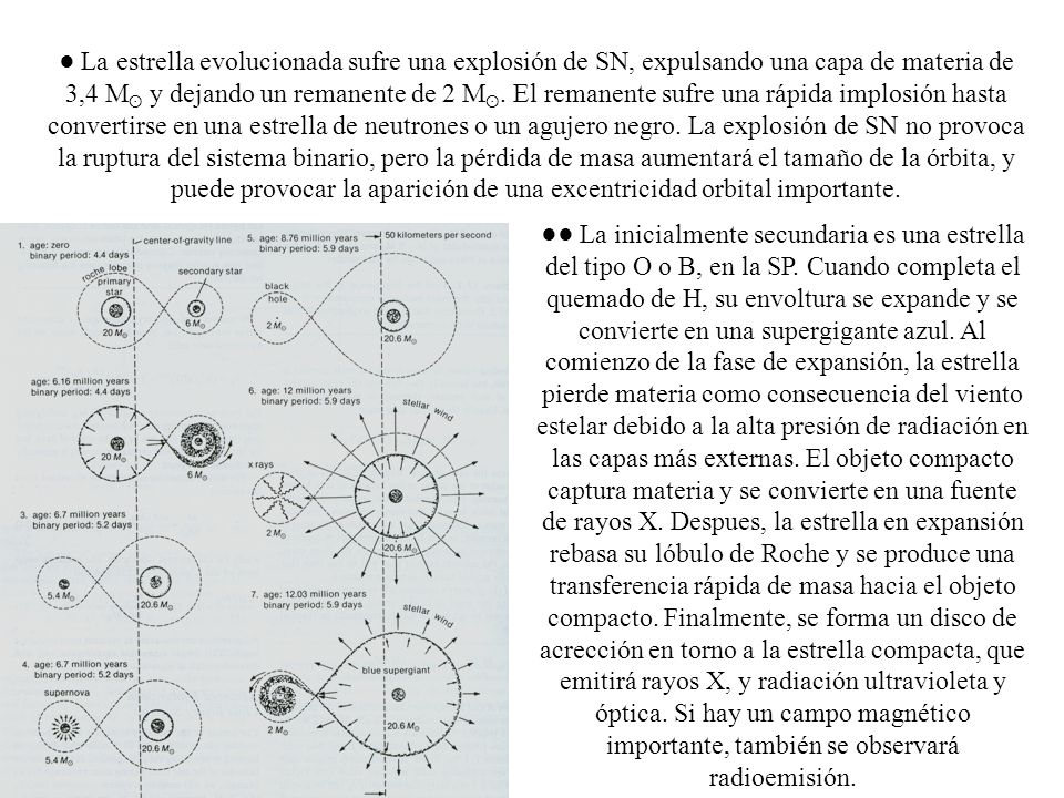 ● La estrella evolucionada sufre una explosión de SN, expulsando una capa de materia de 3,4 Mʘ y dejando un remanente de 2 Mʘ. El remanente sufre una rápida implosión hasta convertirse en una estrella de neutrones o un agujero negro. La explosión de SN no provoca la ruptura del sistema binario, pero la pérdida de masa aumentará el tamaño de la órbita, y puede provocar la aparición de una excentricidad orbital importante.