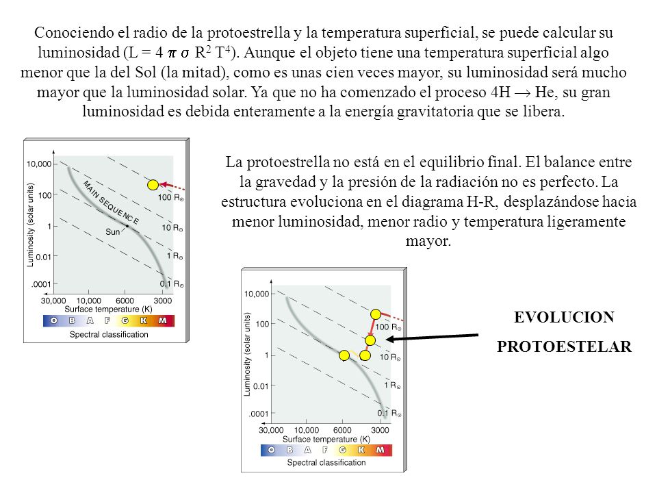 Conociendo el radio de la protoestrella y la temperatura superficial, se puede calcular su luminosidad (L = 4 p s R2 T4). Aunque el objeto tiene una temperatura superficial algo menor que la del Sol (la mitad), como es unas cien veces mayor, su luminosidad será mucho mayor que la luminosidad solar. Ya que no ha comenzado el proceso 4H  He, su gran luminosidad es debida enteramente a la energía gravitatoria que se libera.