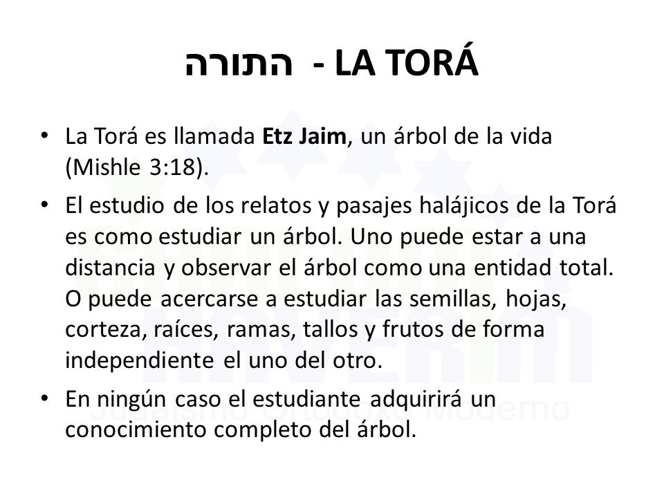 התורה - LA TORÁ La Torá es llamada Etz Jaim, un árbol de la vida (Mishle 3:18).