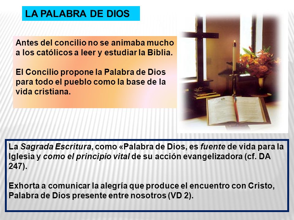LA PALABRA DE DIOS Antes del concilio no se animaba mucho a los católicos a leer y estudiar la Biblia.