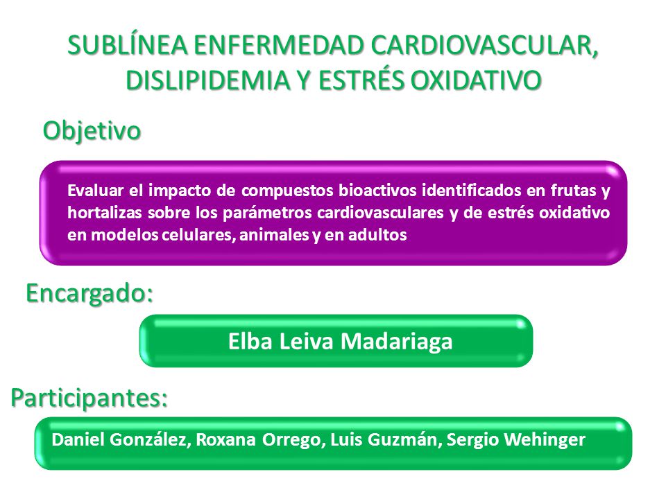 SUBLÍNEA ENFERMEDAD CARDIOVASCULAR, DISLIPIDEMIA Y ESTRÉS OXIDATIVO