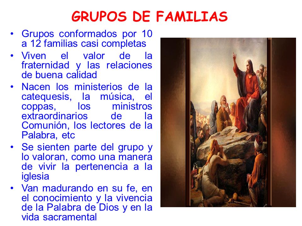 GRUPOS DE FAMILIAS Grupos conformados por 10 a 12 familias casi completas. Viven el valor de la fraternidad y las relaciones de buena calidad.