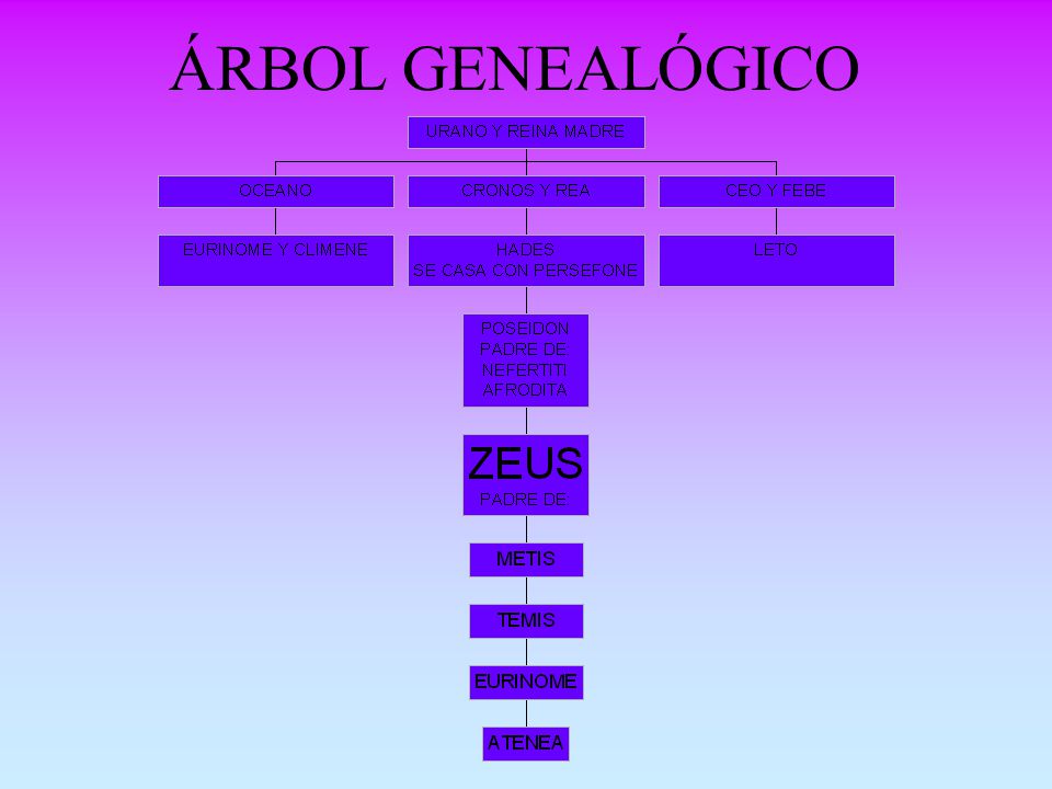 ÁRBOL GENEALÓGICO