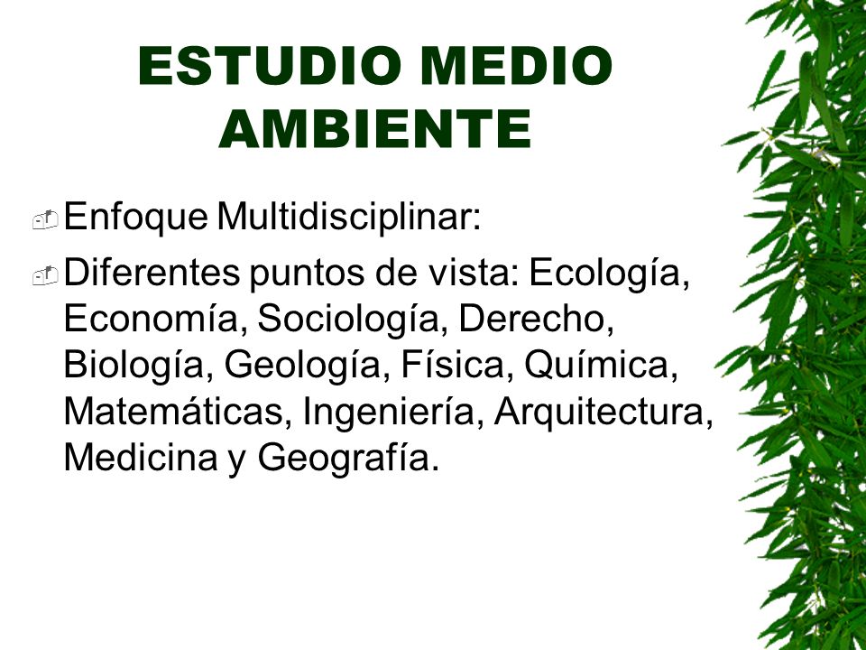 ESTUDIO MEDIO AMBIENTE