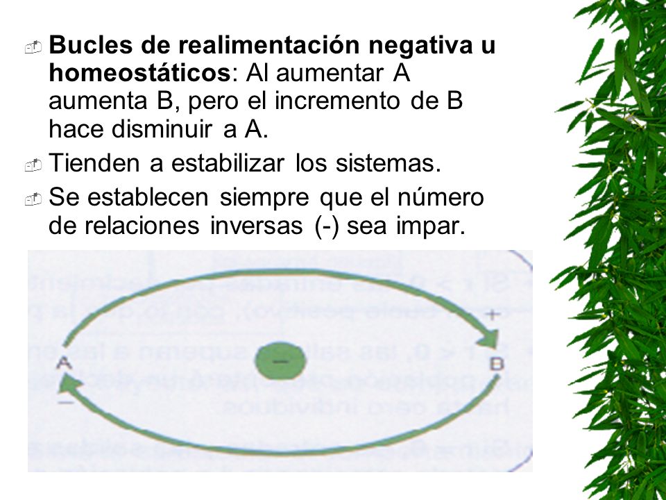 Bucles de realimentación negativa u homeostáticos: Al aumentar A aumenta B, pero el incremento de B hace disminuir a A.