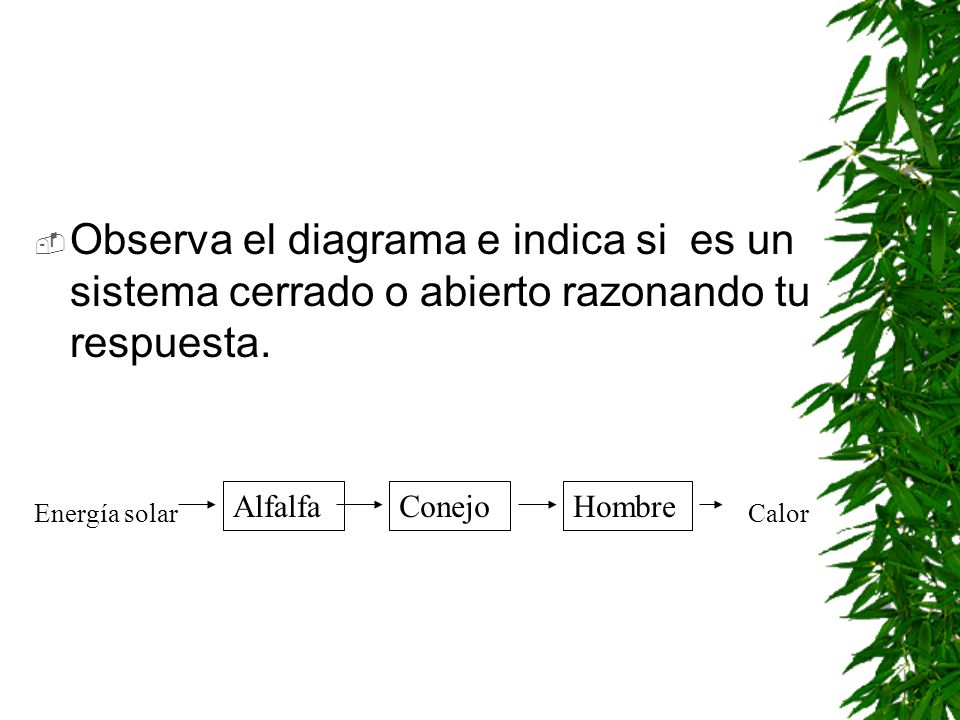 Observa el diagrama e indica si es un sistema cerrado o abierto razonando tu respuesta.