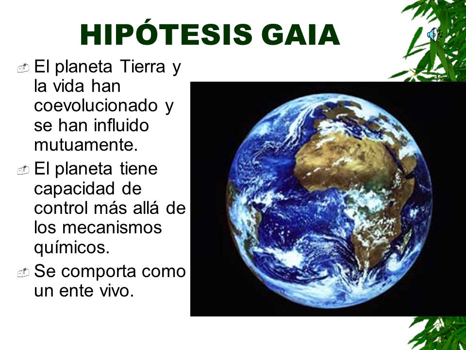 HIPÓTESIS GAIA El planeta Tierra y la vida han coevolucionado y se han influido mutuamente.