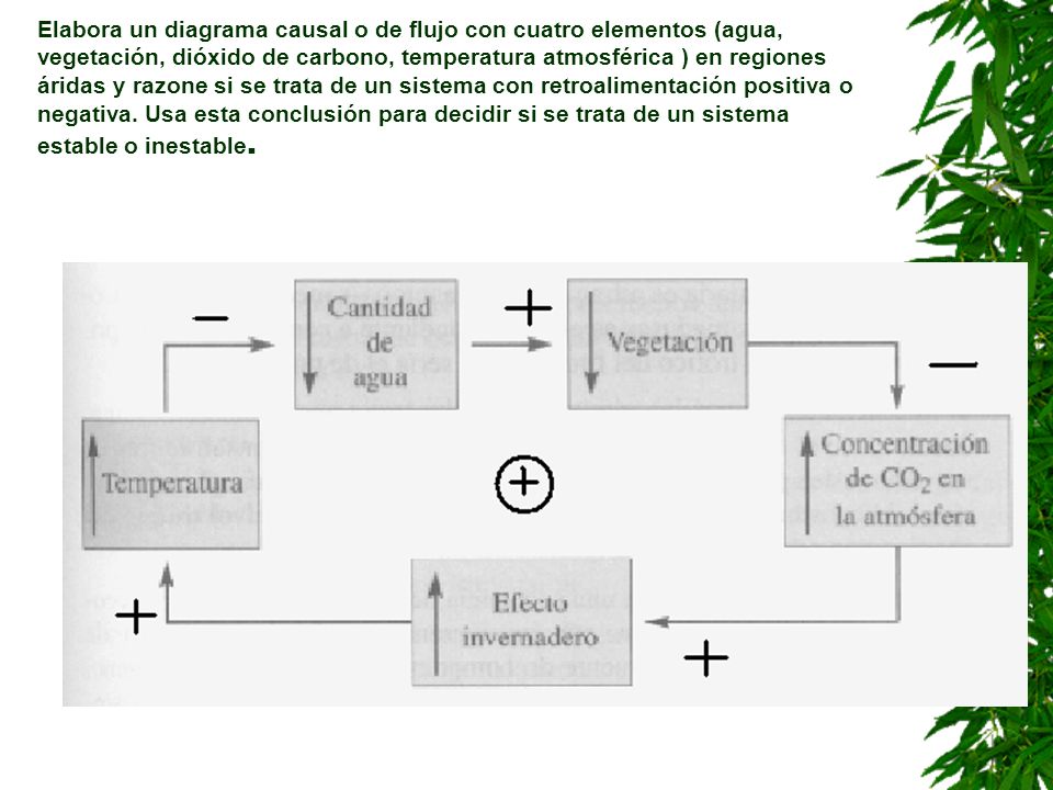 Elabora un diagrama causal o de flujo con cuatro elementos (agua, vegetación, dióxido de carbono, temperatura atmosférica ) en regiones áridas y razone si se trata de un sistema con retroalimentación positiva o negativa.
