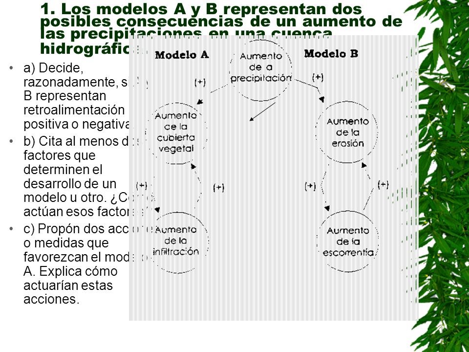 1. Los modelos A y B representan dos posibles consecuencias de un aumento de las precipitaciones en una cuenca hidrográfica.