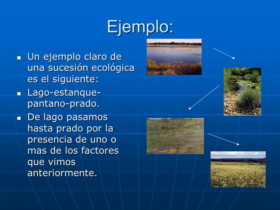 Ejemplo: Un ejemplo claro de una sucesión ecológica es el siguiente: