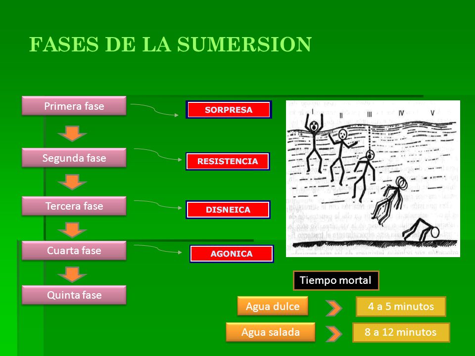 FASES DE LA SUMERSION Primera fase Segunda fase Tercera fase