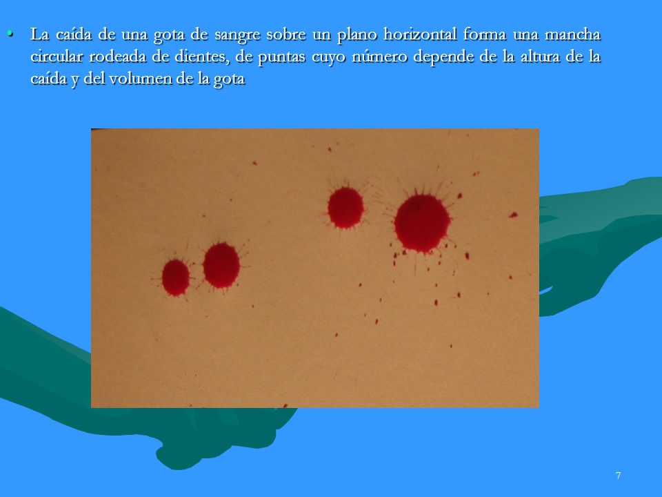 La caída de una gota de sangre sobre un plano horizontal forma una mancha circular rodeada de dientes, de puntas cuyo número depende de la altura de la caída y del volumen de la gota