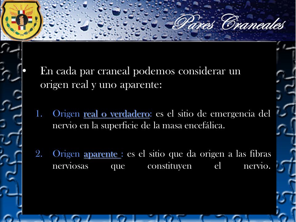 Pares Craneales En cada par craneal podemos considerar un origen real y uno aparente: