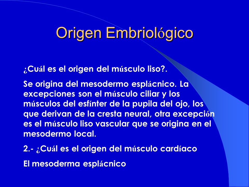 Origen Embriológico ¿Cuál es el origen del músculo liso .
