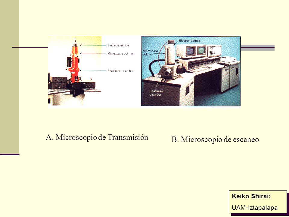 A. Microscopio de Transmisión B. Microscopio de escaneo