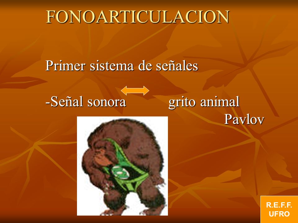 FONOARTICULACION Primer sistema de señales -Señal sonora grito animal
