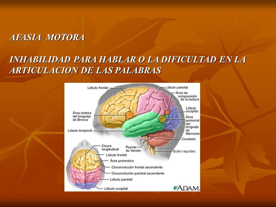 AFASIA MOTORA INHABILIDAD PARA HABLAR O LA DIFICULTAD EN LA ARTICULACION DE LAS PALABRAS