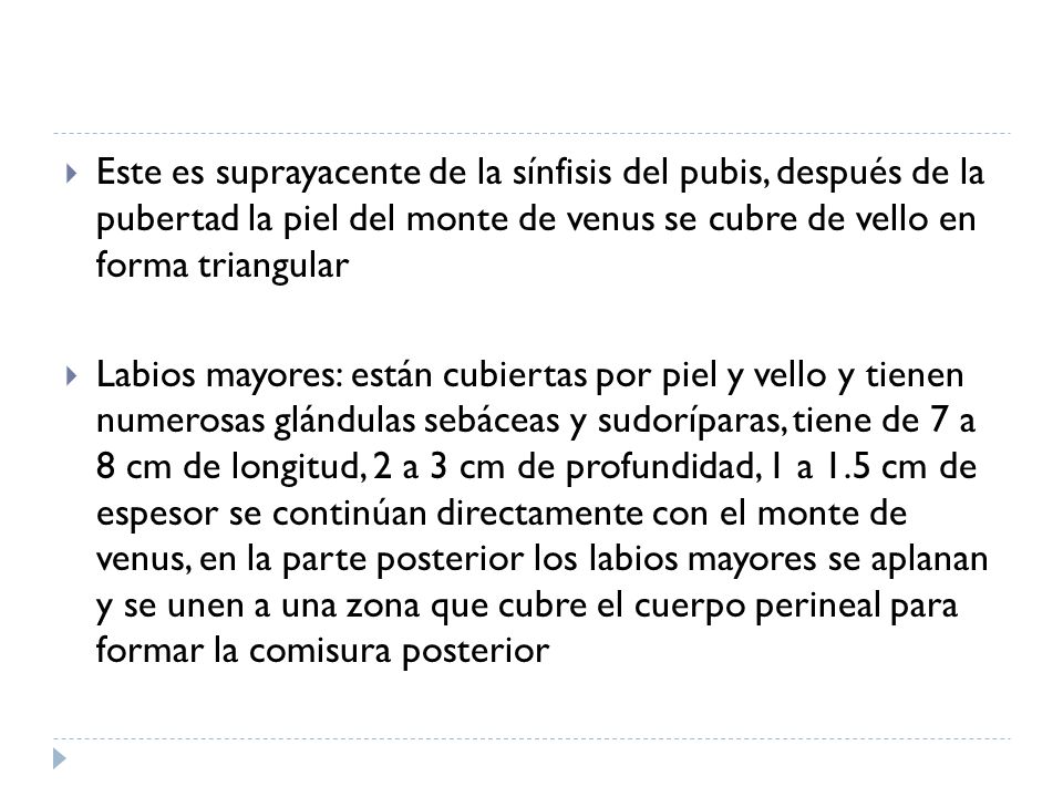 Este es suprayacente de la sínfisis del pubis, después de la pubertad la piel del monte de venus se cubre de vello en forma triangular