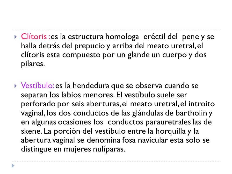 Clítoris :es la estructura homologa eréctil del pene y se halla detrás del prepucio y arriba del meato uretral, el clítoris esta compuesto por un glande un cuerpo y dos pilares.