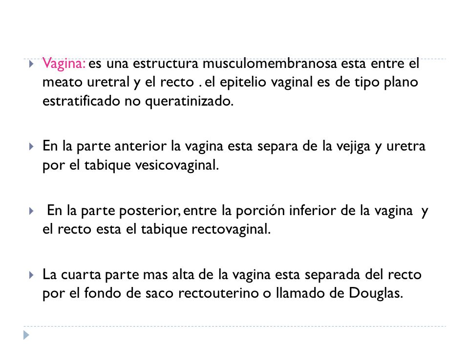 Vagina: es una estructura musculomembranosa esta entre el meato uretral y el recto . el epitelio vaginal es de tipo plano estratificado no queratinizado.