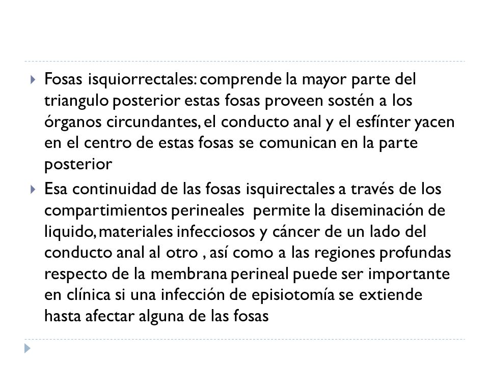 Fosas isquiorrectales: comprende la mayor parte del triangulo posterior estas fosas proveen sostén a los órganos circundantes, el conducto anal y el esfínter yacen en el centro de estas fosas se comunican en la parte posterior